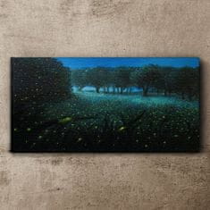 COLORAY.CZ Obraz na plátně Lesní noční fireflies 100x50 cm