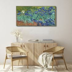 COLORAY.CZ Obraz na plátně Van Gogh Irises 120x60 cm