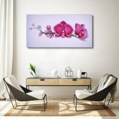 COLORAY.CZ Obraz na plátně Akvarel květina větev orchidej 120x60 cm