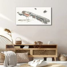 COLORAY.CZ Obraz na plátně Zvířecí pták páv mouchy 100x50 cm