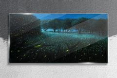 COLORAY.CZ Obraz na skle Lesní noční fireflies 120x60 cm