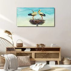 COLORAY.CZ Obraz na plátně Zvířata Birds Swans 100x50 cm