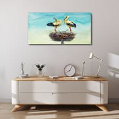 COLORAY.CZ Obraz na plátně Zvířata Birds Swans 100x50 cm