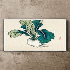 COLORAY.CZ Obraz na plátně Zelenina cibule 140x70 cm