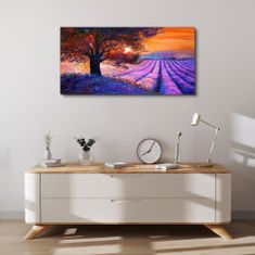 COLORAY.CZ Obraz na plátně Západ slunce květiny 100x50 cm