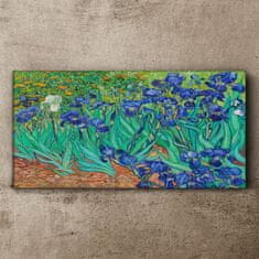 COLORAY.CZ Obraz na plátně Van Gogh Irises 120x60 cm