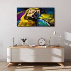 COLORAY.CZ Obraz na plátně Abstraktní zvířecí parrot 100x50 cm