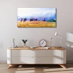 COLORAY.CZ Obraz na plátně Zvířata koně louka příroda 100x50 cm
