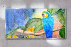 COLORAY.CZ Obraz na skle Opustí zvířecí parrot 100x50 cm