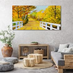 COLORAY.CZ Obraz na plátně Bridge Forest podzim 140x70 cm