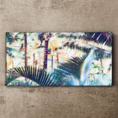 COLORAY.CZ Obraz na plátně Abstrakce Jungle Tree 100x50 cm