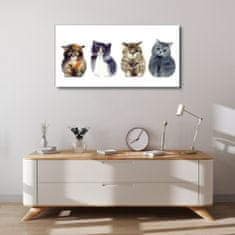 COLORAY.CZ Obraz na plátně Zvířata Akvarel kočky 100x50 cm