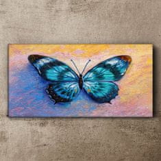 COLORAY.CZ Obraz na plátně Butterfly hmyz barevný 100x50 cm