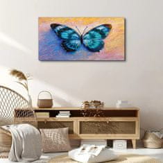 COLORAY.CZ Obraz na plátně Butterfly hmyz barevný 100x50 cm