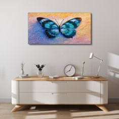 COLORAY.CZ Obraz na plátně Butterfly hmyz barevný 100x50 cm