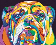 ZUTY Diamantové malování - BAREVNÝ BULLDOG 40x50 cm bez rámu a bez vypnutí plátna