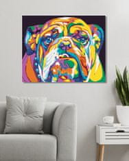 ZUTY Diamantové malování - BAREVNÝ BULLDOG 40x50 cm bez rámu a bez vypnutí plátna