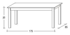 Gazel jídelní stůl 175x85 přírodní 745