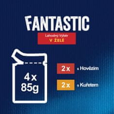 Felix FANTASTIC multipack hovězí, kuře v želé 48x85 g