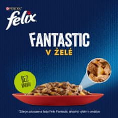 Felix FANTASTIC multipack hovězí, kuře v želé 48x85 g