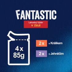 Felix FANTASTIC multipack králík, jehněčí v želé 48x85 g