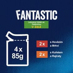 Felix FANTASTIC multipack kuře, hovězí se zeleninou 48x85 g