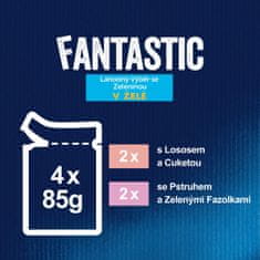 Felix FANTASTIC multipack losos, pstruh se zeleninou 48x85 g