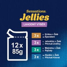 Felix SENSATIONS multipack lahodný výběr v želé 72x85 g