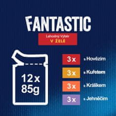 Felix FANTASTIC multipack lahodný výběr v želé 72x85 g