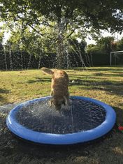 Nobby Bazén stříkající pro psy Splash Pool Ø150cm