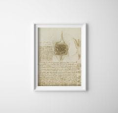 Vintage Posteria Plakát DA VINCI Gastrointestinální kabel a močový měchýř Ne A1 - 59,4x84,1 cm