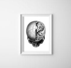 Vintage Posteria Retro plakát Anatomical Skull Headprints Ne A3 - 29,7x42 cm