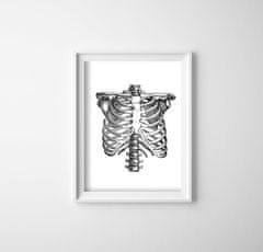 Vintage Posteria Retro plakát Anatomická skeleta Ne A2 - 42x59,4 cm