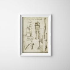 Vintage Posteria Designovy plakát Anatomical da vinci kosti A2 - 42x59,4 cm