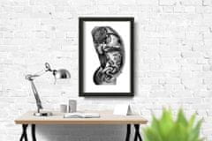 Vintage Posteria Retro plakát Anatomický interiér orgánu Ne A4 - 21x29,7 cm