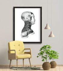 Vintage Posteria Retro plakát Anatomické tisky na svalstvu krku Ne A3 - 29,7x42 cm