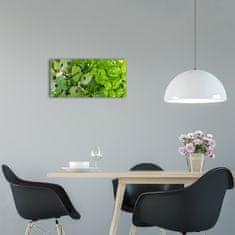 Wallmuralia Moderní skleněné hodiny na stěnu Bylinky černé 60x30 cm