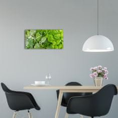 Wallmuralia Moderní skleněné hodiny na stěnu Bylinky bílé 60x30 cm