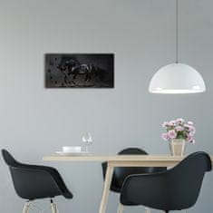 Wallmuralia Moderní skleněné hodiny na stěnu Černý kůň černé 60x30 cm