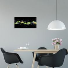 Wallmuralia Moderní skleněné hodiny na stěnu Kivi a voda černé 60x30 cm