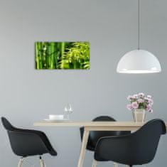 Wallmuralia Moderní skleněné hodiny na stěnu Bambus černé 60x30 cm