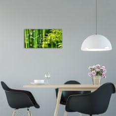 Wallmuralia Moderní skleněné hodiny na stěnu Bambus bílé 60x30 cm