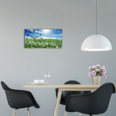 Wallmuralia Moderní skleněné hodiny na stěnu Louka černé 60x30 cm