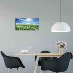 Wallmuralia Moderní skleněné hodiny na stěnu Louka bílé 60x30 cm