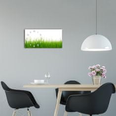 Wallmuralia Moderní skleněné hodiny na stěnu Tráva bílé 60x30 cm