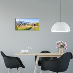 Wallmuralia Skleněné hodiny na stěnu Domky v horách bílé 60x30 cm