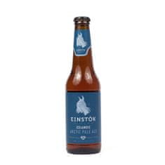 EINSTOK 13° Arctic Pale Ale