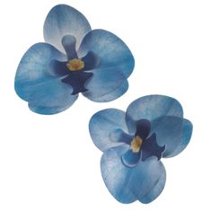Dekora Květy z jedlého papíru orchidej modrá 10ks 