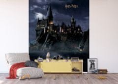 AG Design Dětská fototapeta HARRY POTTER 225x 270 cm