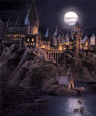 AG Design Dětská fototapeta HARRY POTTER 225x 270 cm